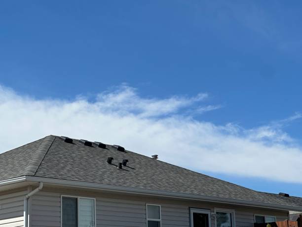 Best Sheet Metal Roofing  in West Portsmouth, OH